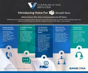 Infographic - Voice For MS Teams and VI Communication Services